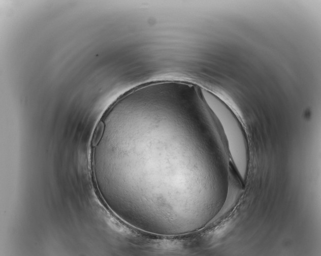 X0000089370996200706221217