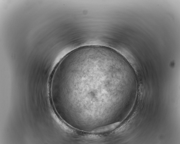 X0000089370998200706221217
