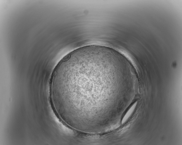 X0000089370999200706221217