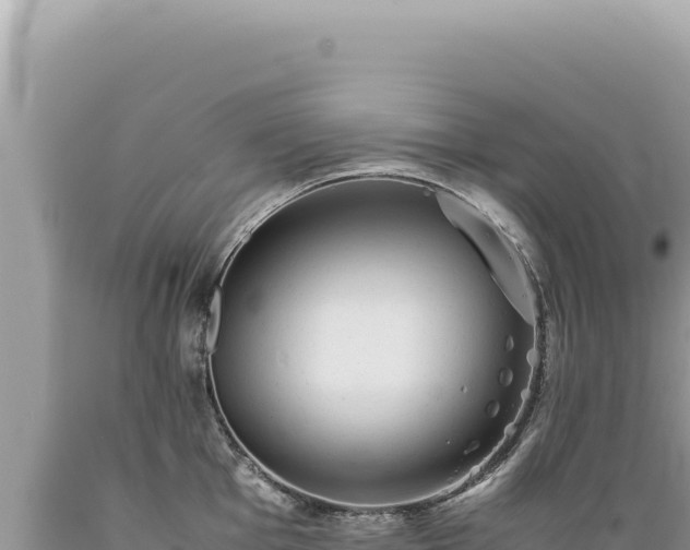 X0000089371001200706221217