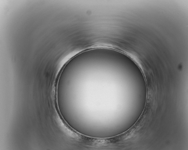 X0000089371003200706221217