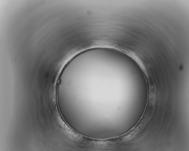 X0000089371004200706221217