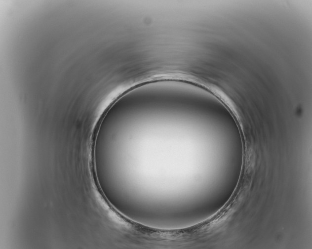 X0000089371005200706221217