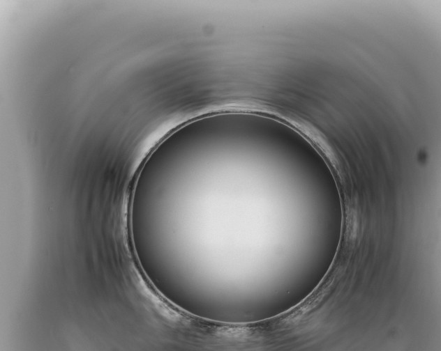 X0000089371006200706221217