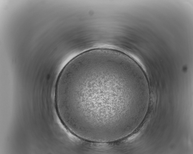 X0000089371007200706221217