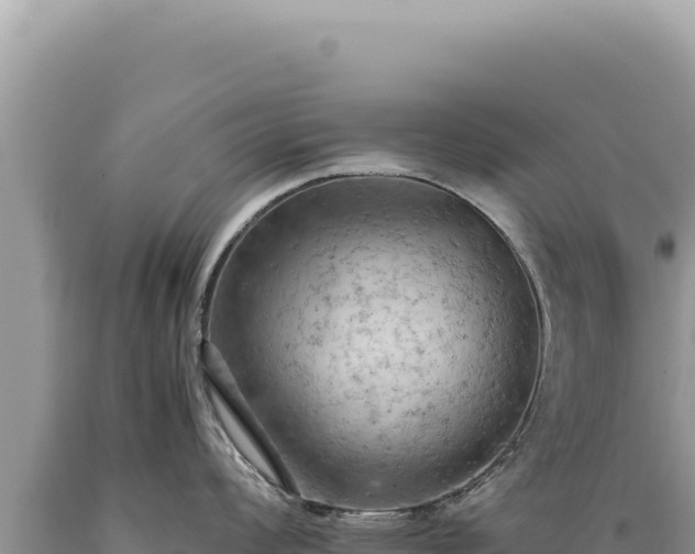 X0000089371008200706221217