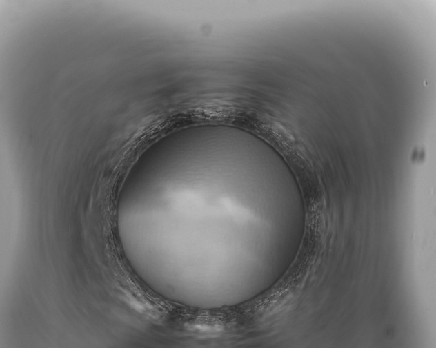 X0000089371009200706221216