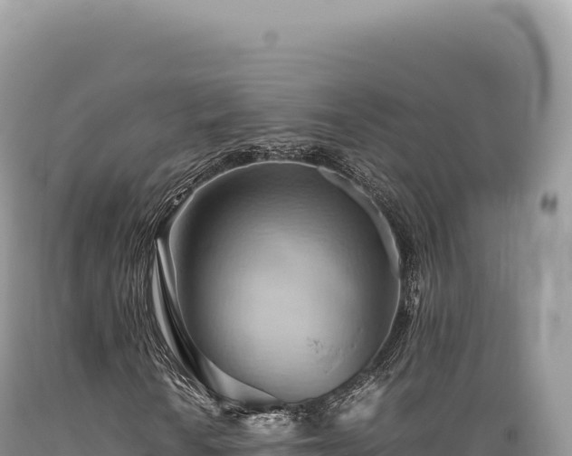 X0000089371010200706221216
