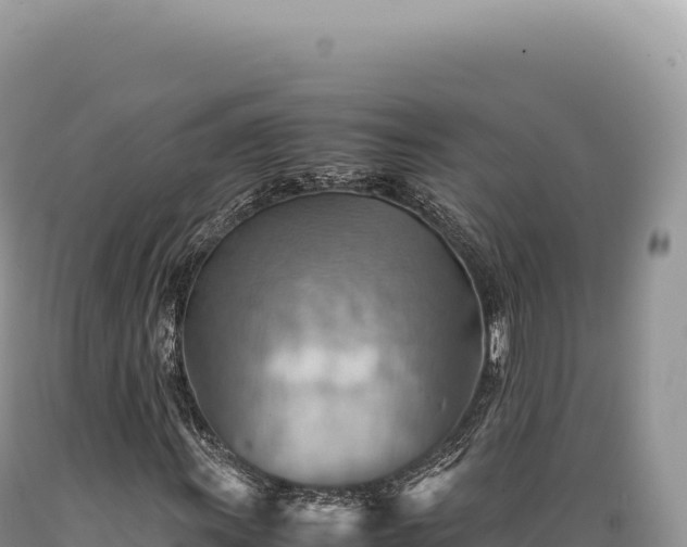 X0000089371011200706221216