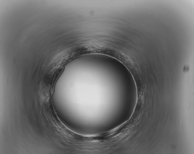 X0000089371012200706221216
