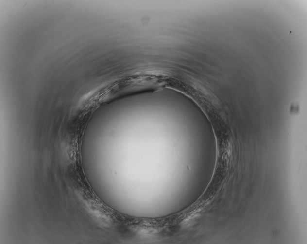 X0000089371014200706221216