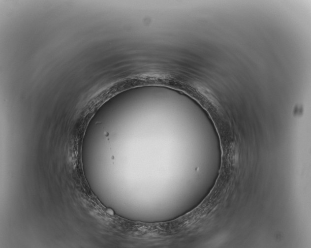 X0000089371015200706221216