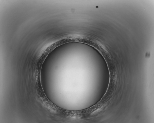 X0000089371016200706221216