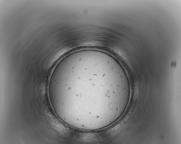 X0000089371017200706221216