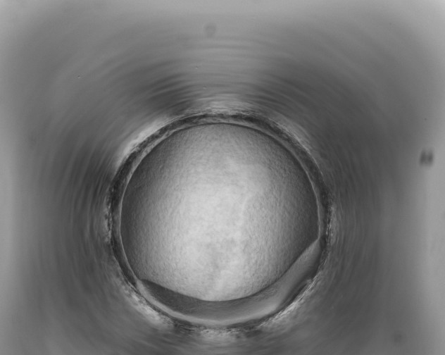 X0000089371018200706221216