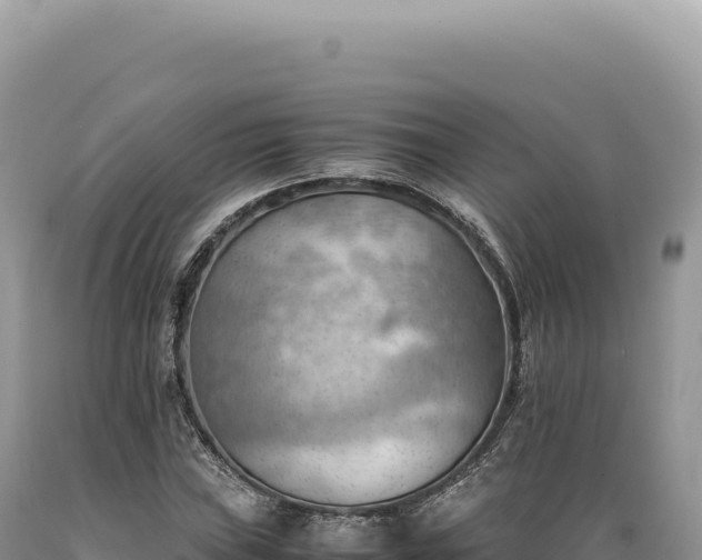 X0000089371019200706221216