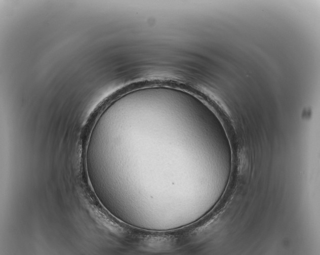 X0000089371021200706221217