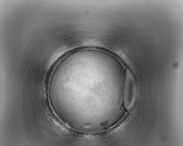 X0000089371022200706221217