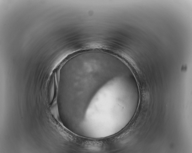 X0000089371023200706221217