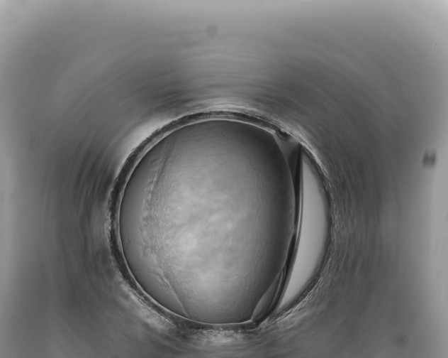 X0000089371024200706221217