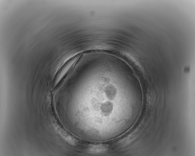 X0000089371025200706221217