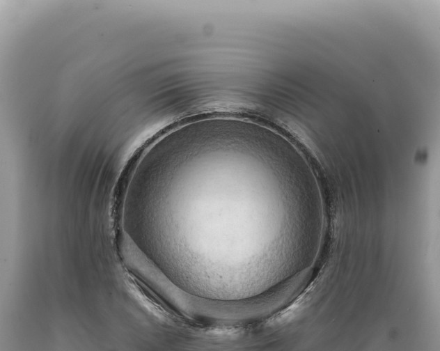 X0000089371026200706221217