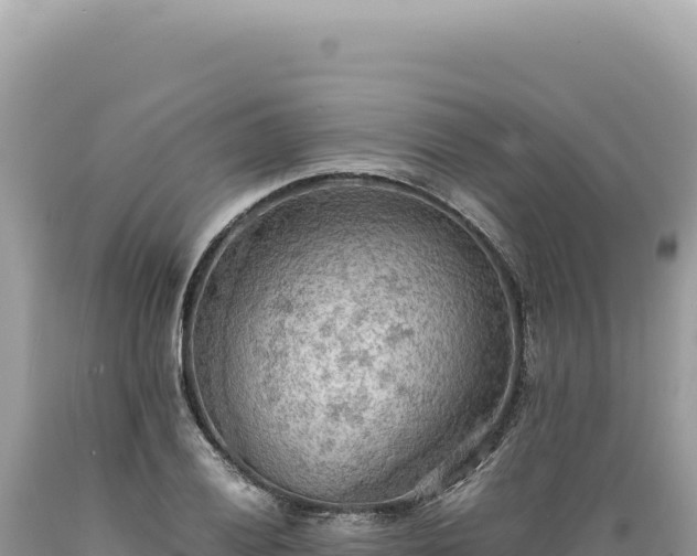 X0000089371028200706221217