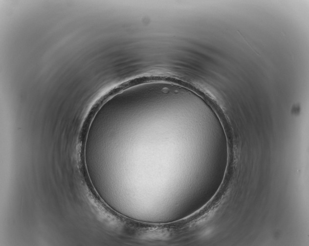 X0000089371029200706221217