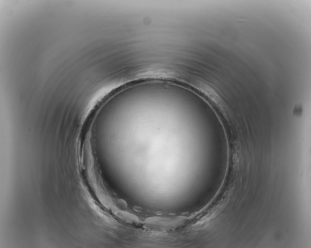 X0000089371030200706221217