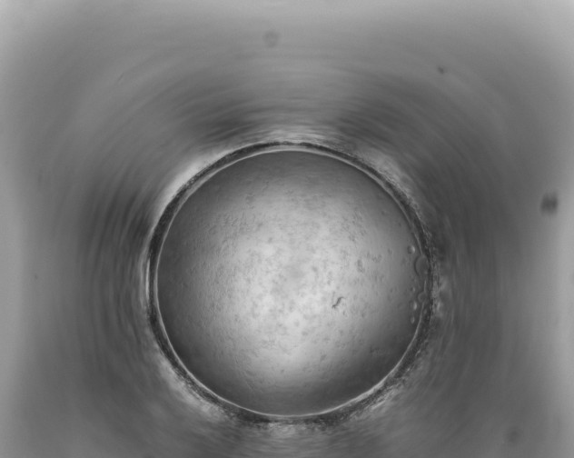 X0000089371032200706221217