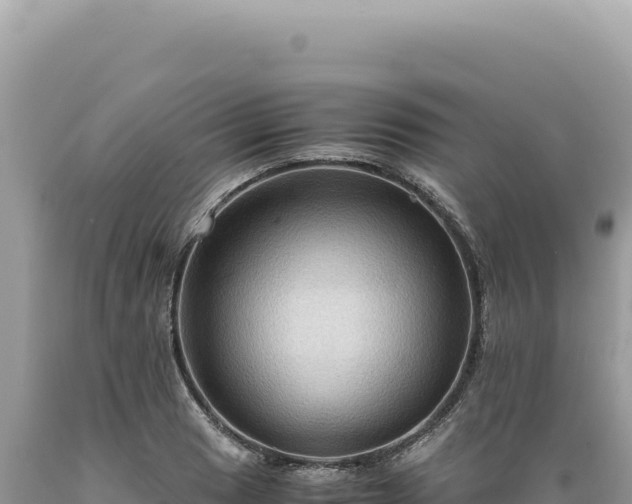 X0000089371033200706221217