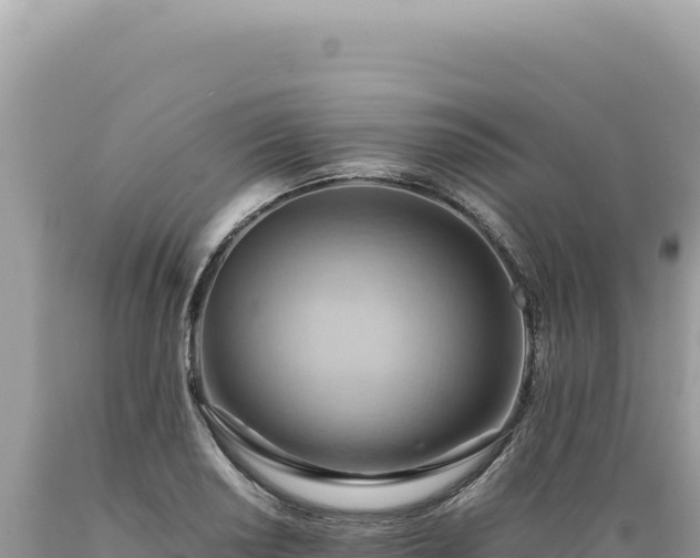 X0000089371034200706221217