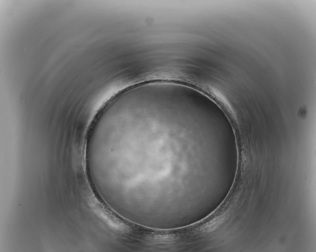 X0000089371035200706221217