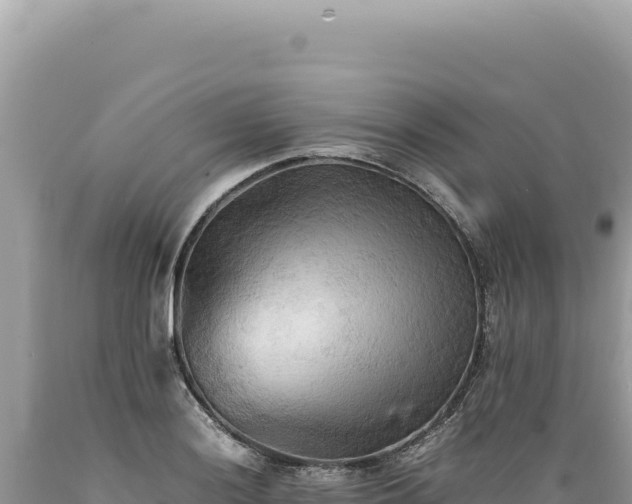 X0000089371036200706221217