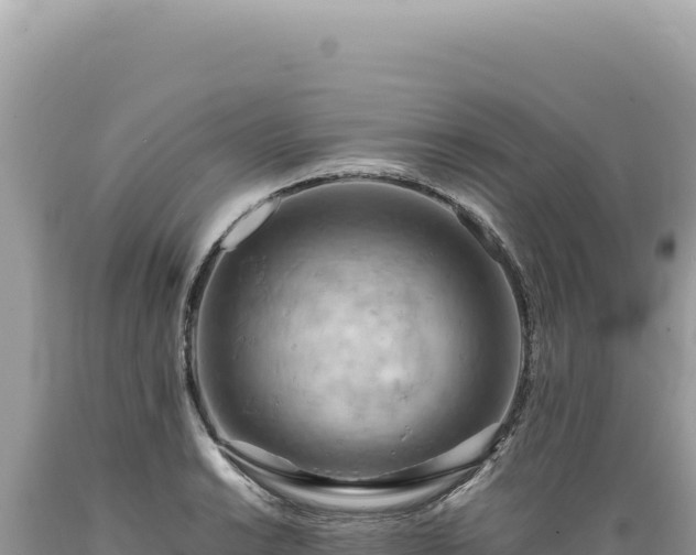 X0000089371038200706221217