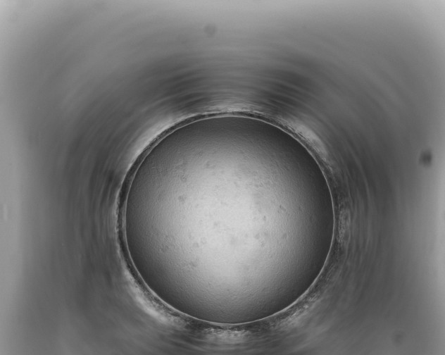 X0000089371039200706221217