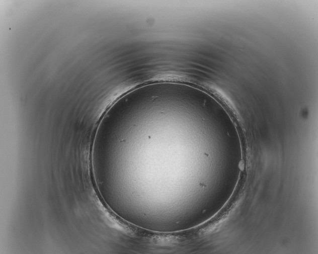 X0000089371041200706221217