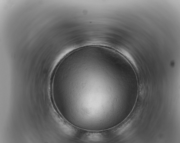 X0000089371043200706221217