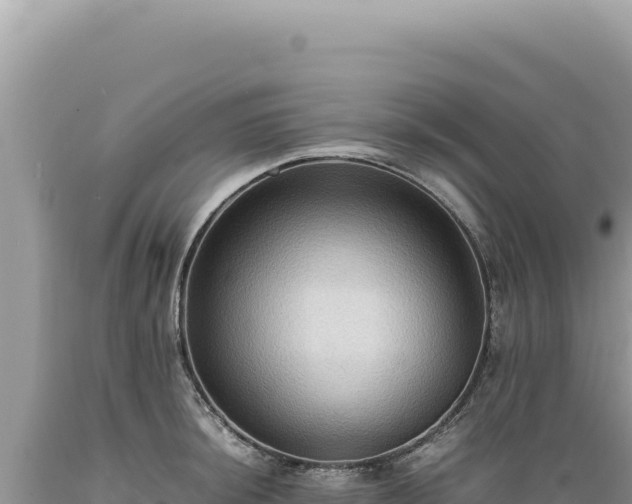 X0000089371044200706221217