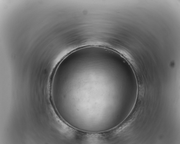 X0000089371046200706221217
