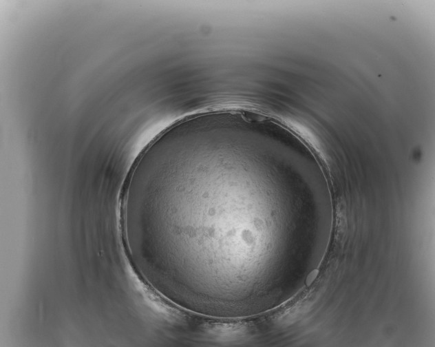 X0000089371047200706221217