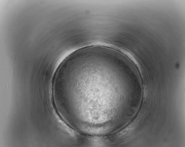 X0000089371048200706221217