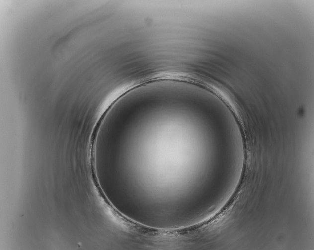X0000089371050200706221217
