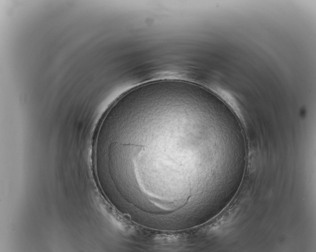 X0000089371051200706221217