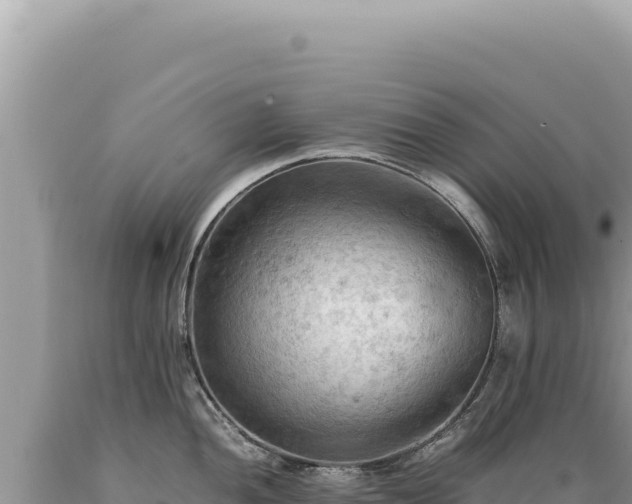 X0000089371052200706221217