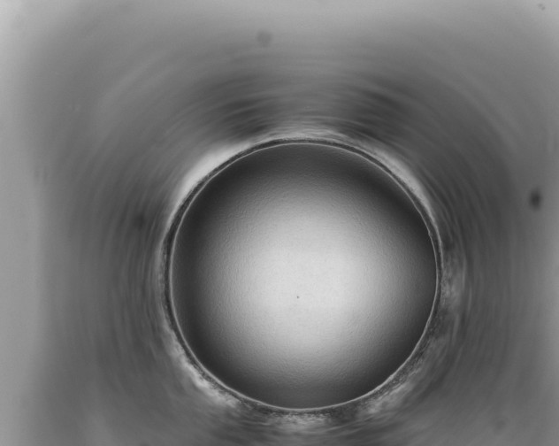 X0000089371053200706221217