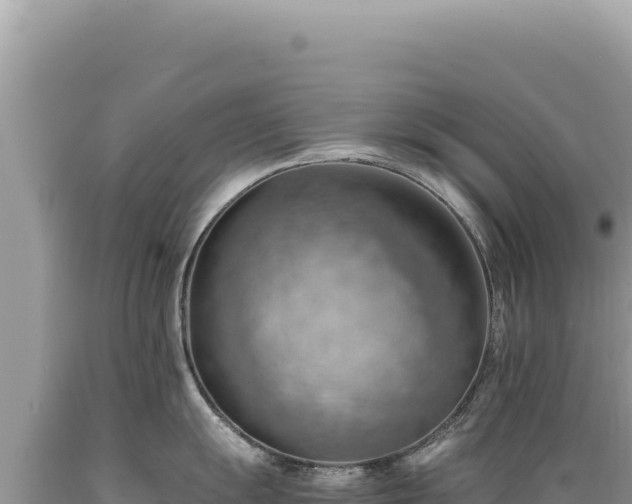 X0000089371055200706221217
