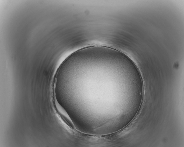 X0000089371056200706221217