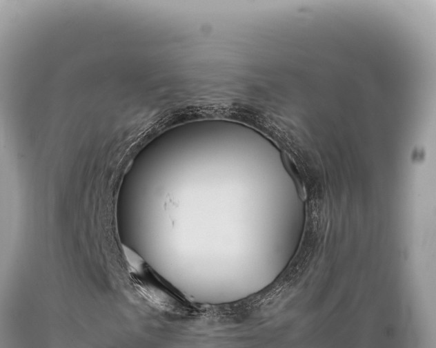 X0000089371057200706221216
