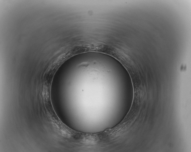 X0000089371058200706221216